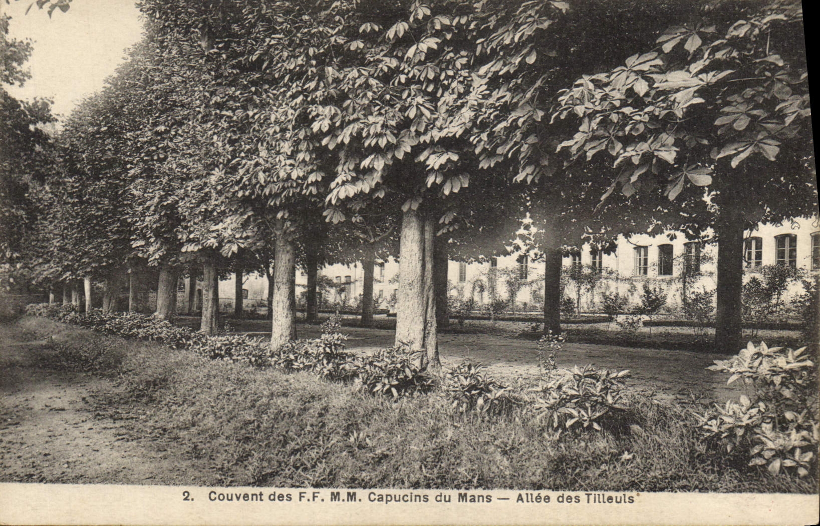 Vintage Postcards Arbre Brood FF MM Capuchins of Mans Allee from the Limes
