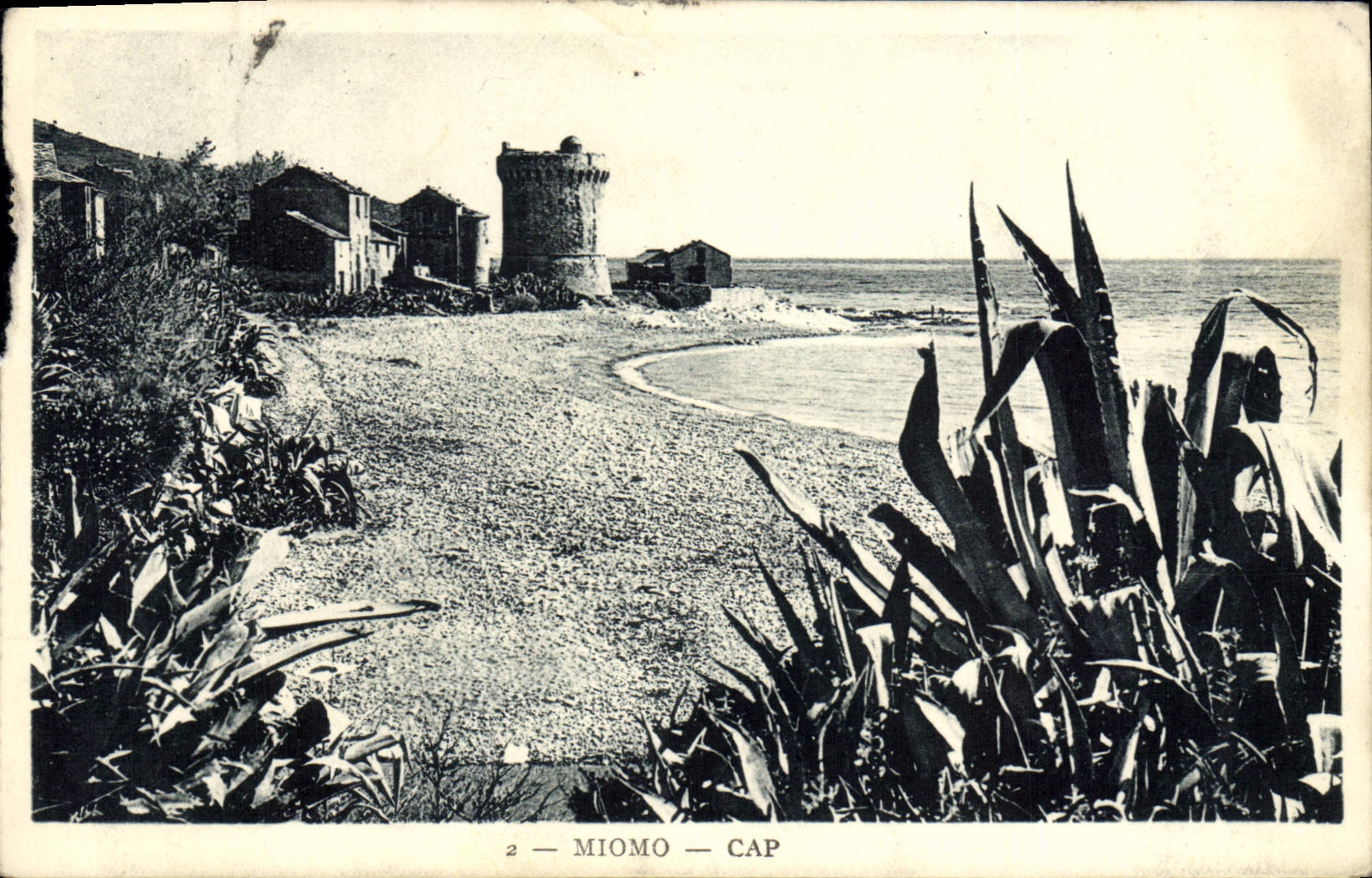 Vintage Postcard Miomo Cape