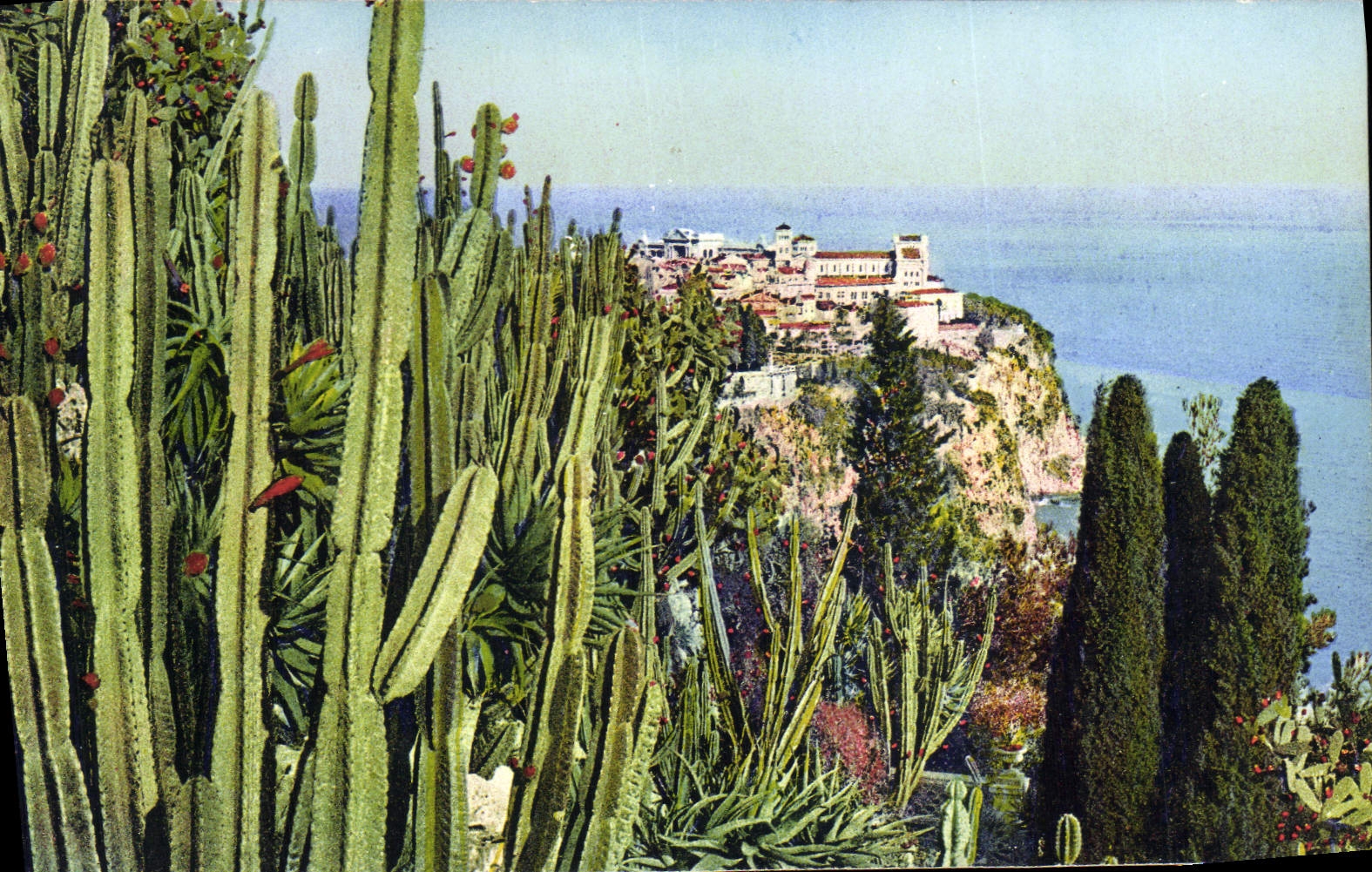 Exotic Vintage Postcard Garden of Monaco Seen on the rock of Monaco Cereus various Aloes and opuntia
