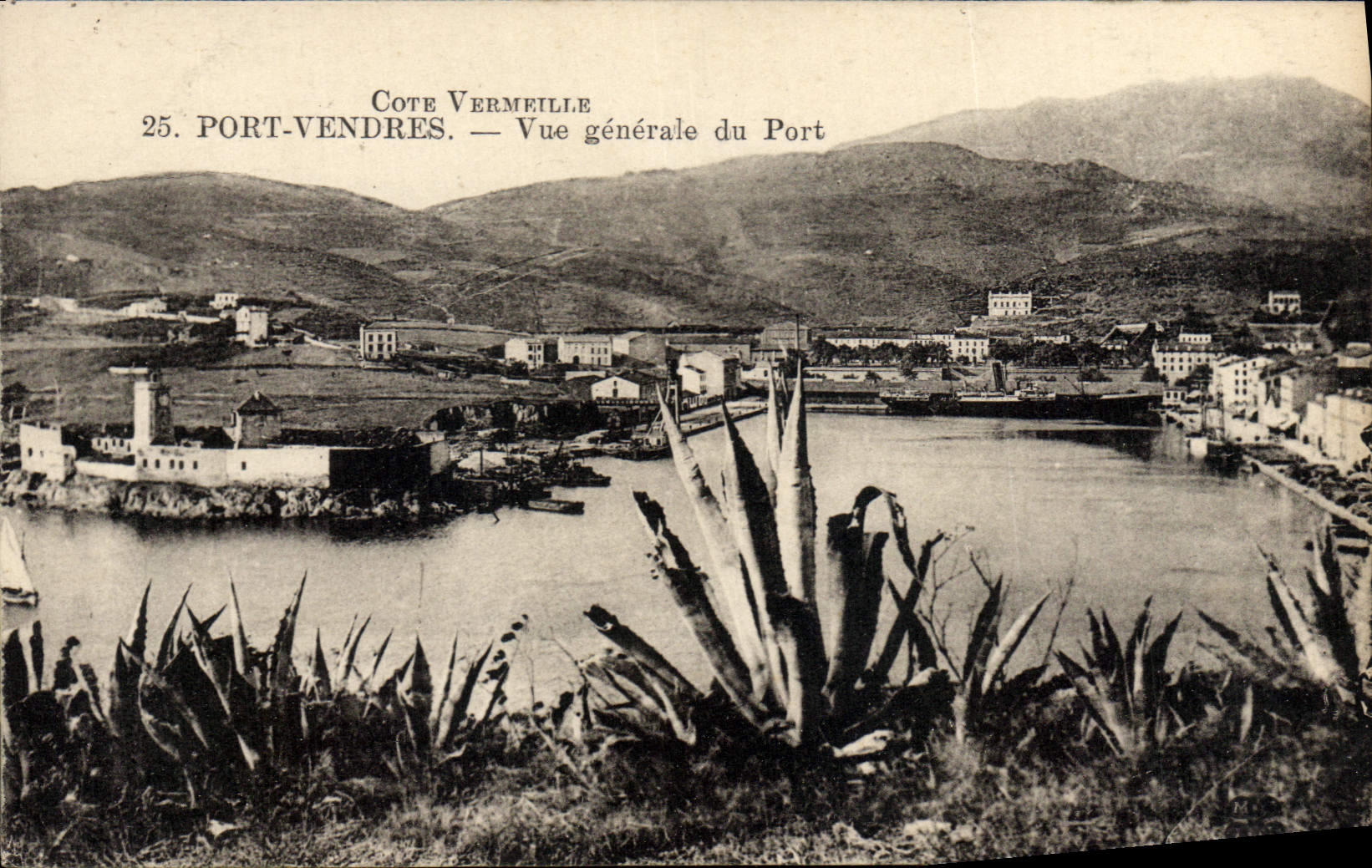Postal PORT Vendres Vista general del puerto Cactus Barco