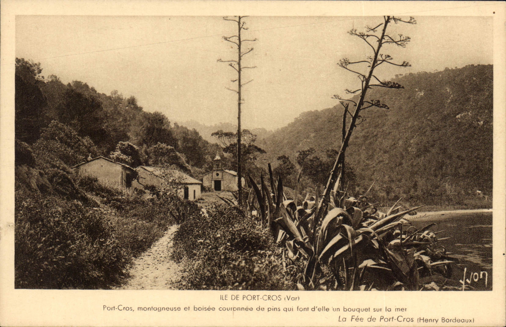 Postal Isla puerto Cross la hada de PORT Cross Cactus