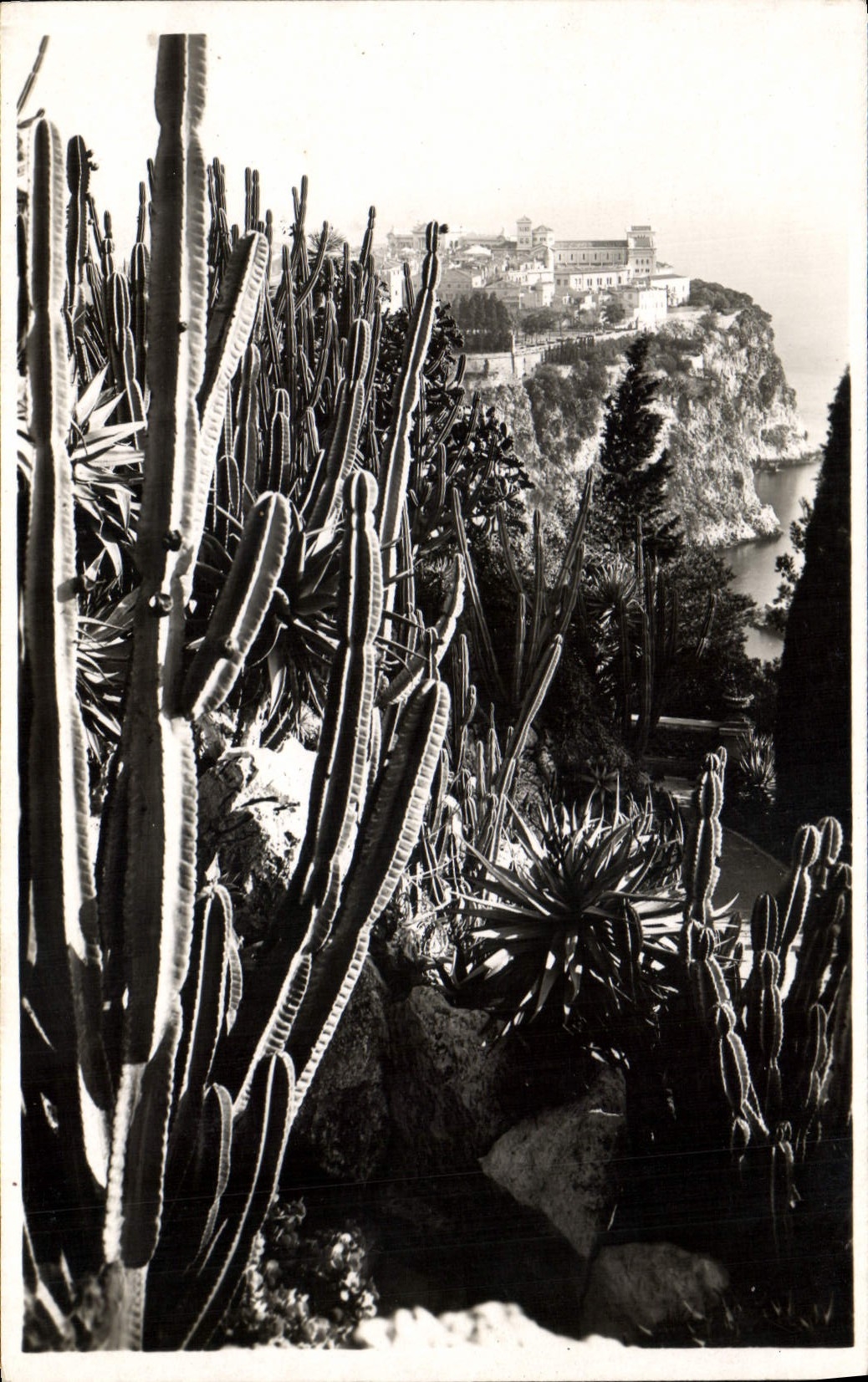 Modern Postcard Monaco exotic gardens