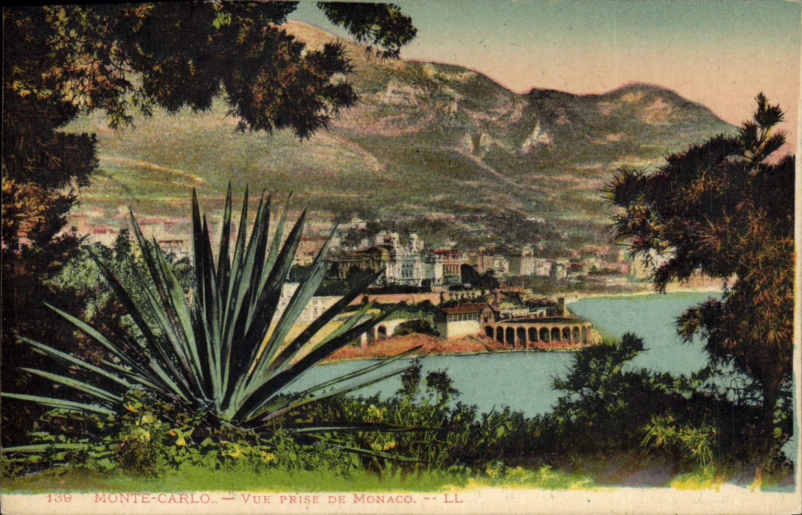 Vintage Postcard Monaco Seen taken of Monaco Cactus