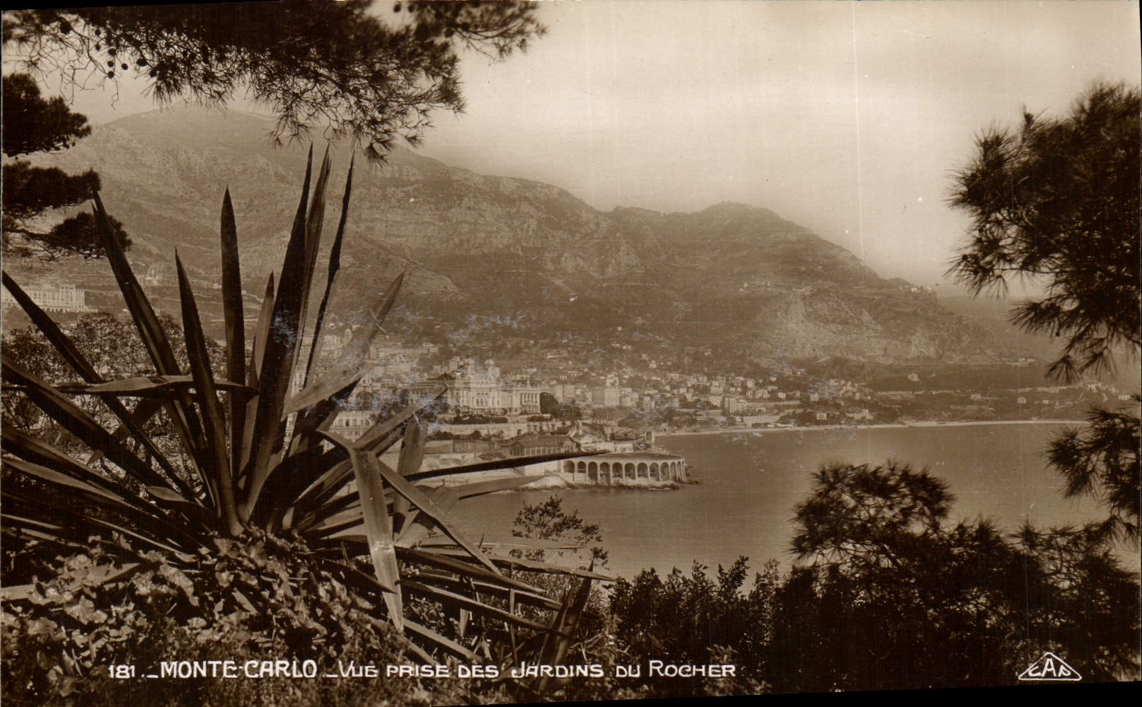 Vintage Postcard Monaco Seen taken of the gardens of the Rock Cactus