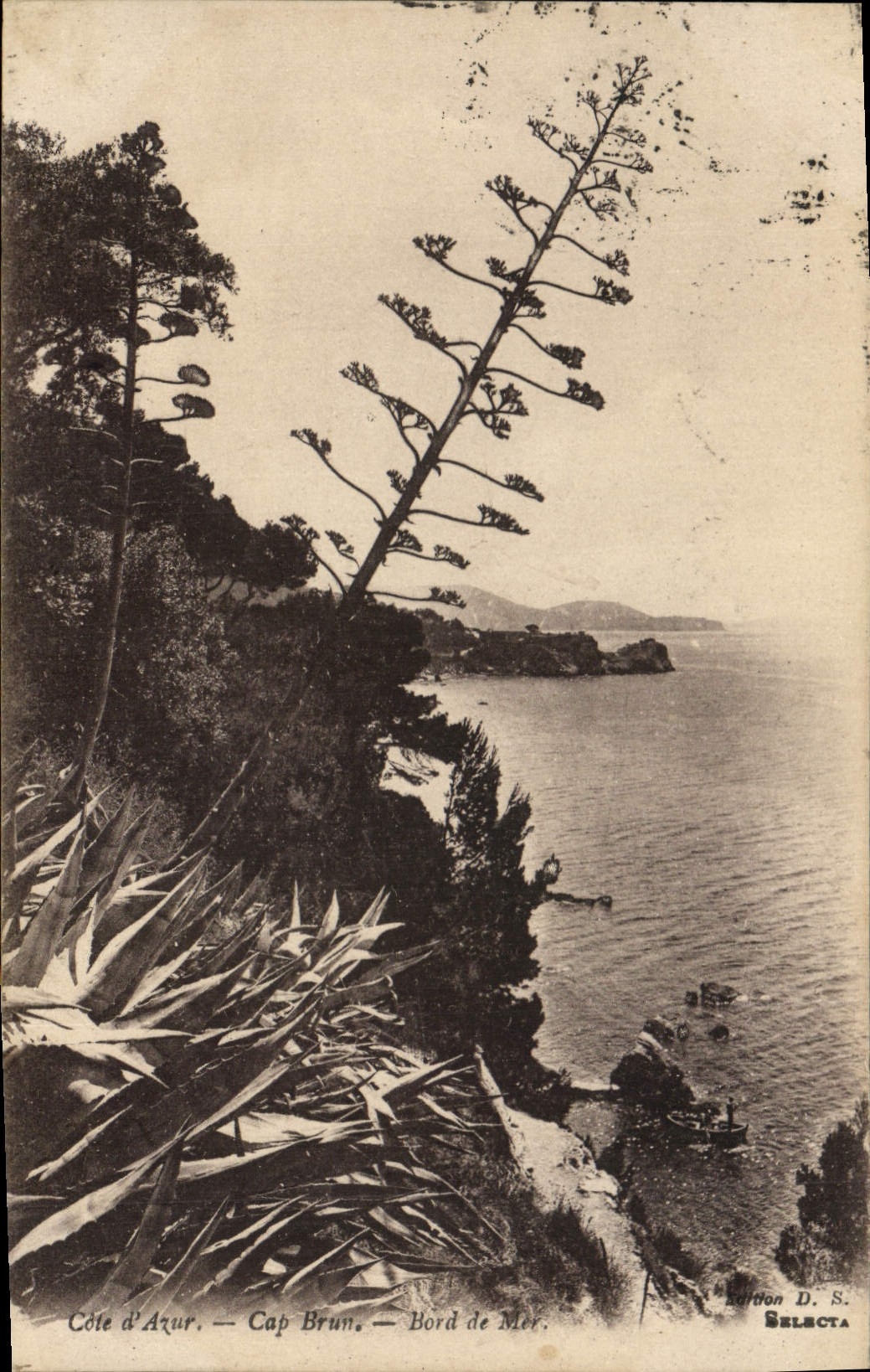 Vintage Postcard Brown Cape Seaside