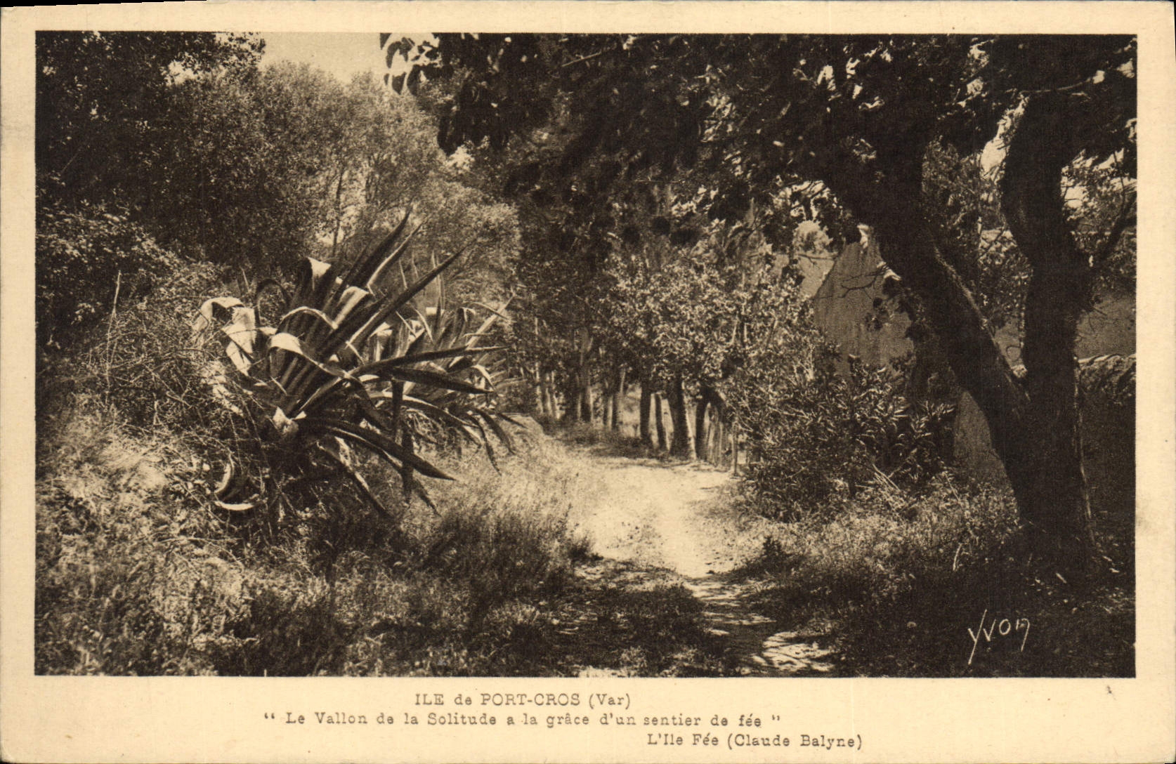 Vintage Postcard Island of Port Cross-country race Park of the fashionable country inn Of Provence