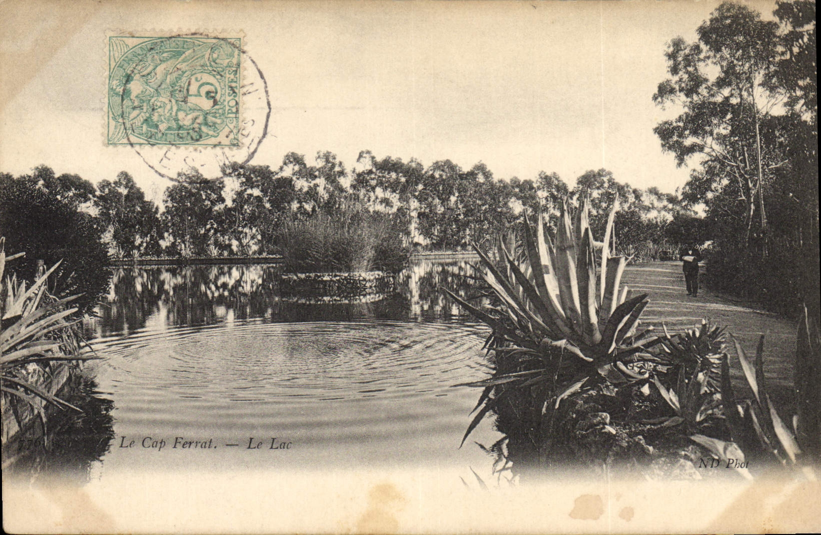 Vintage Postcard the Cape Ferrat the lake