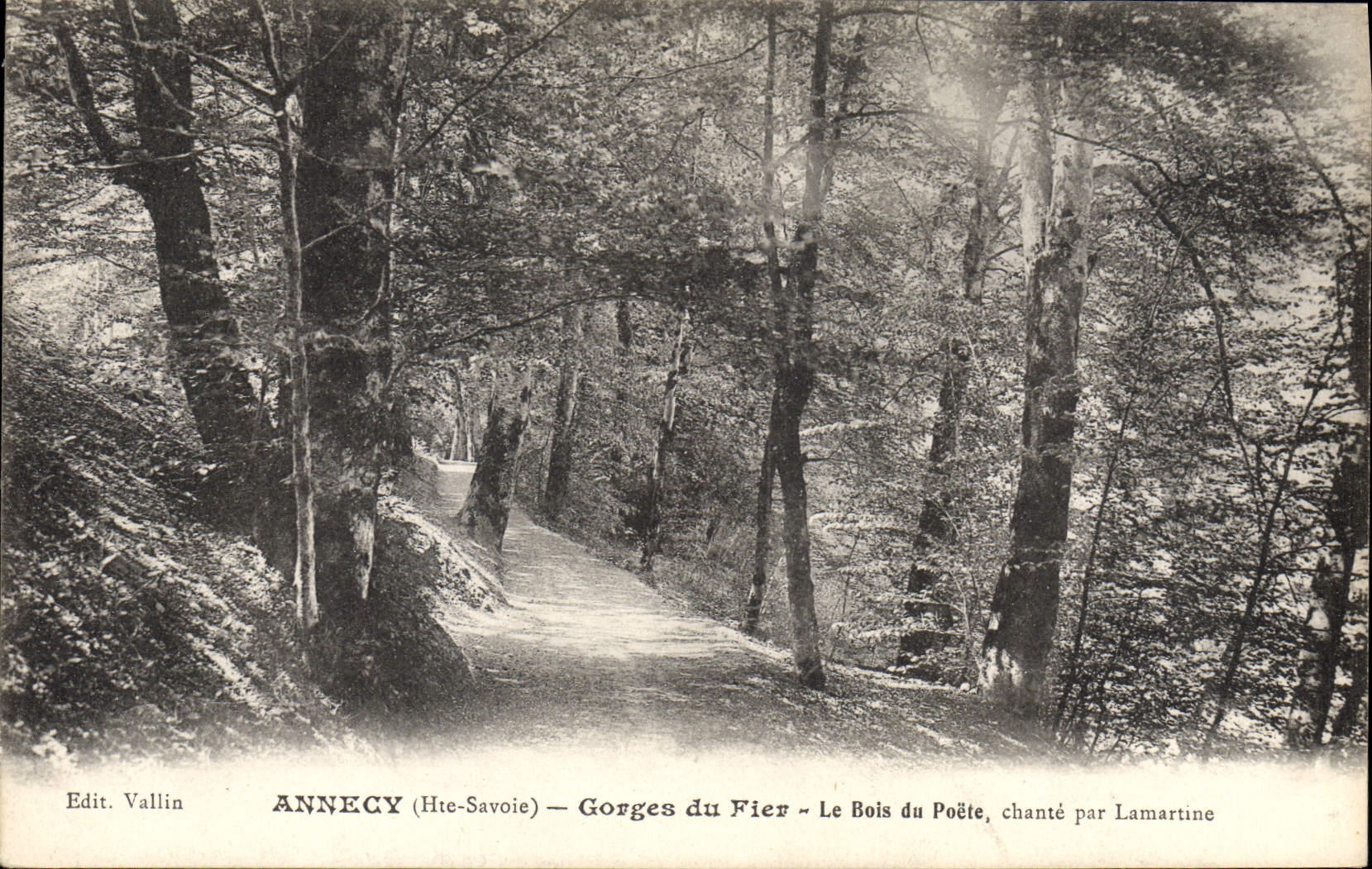 Vintage Postcard Tree Annecy Throats of Trusting the wood of the poet sings by Lamartine
