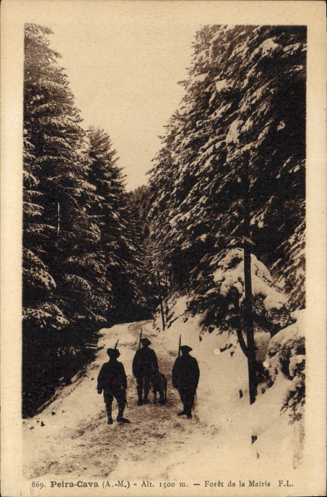 Vintage Postcard Arbre Peira Undermined Drill of Mairis Militaria Alpine hunters