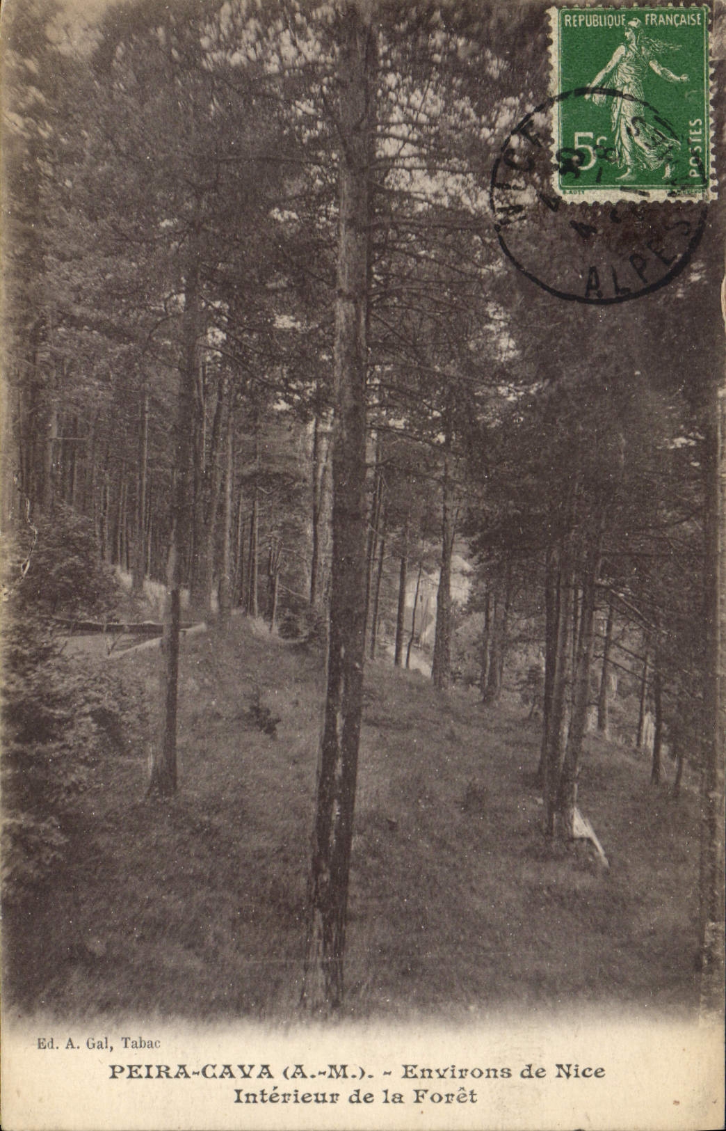 Vintage Postcard Arbre Peira Undermined Surroundings of Nice Interieur of the drill