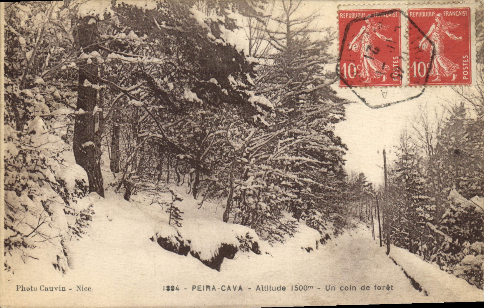 Postal Árbol Peira minó una esquina de taladro