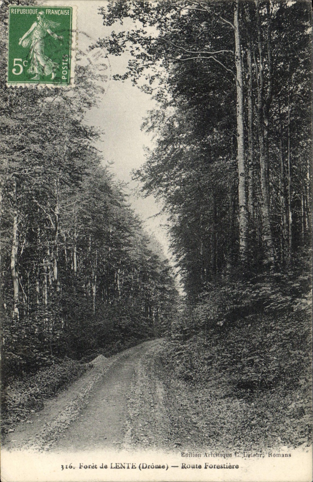 Vintage Postcard Tree Drill of Slow Road forestiere