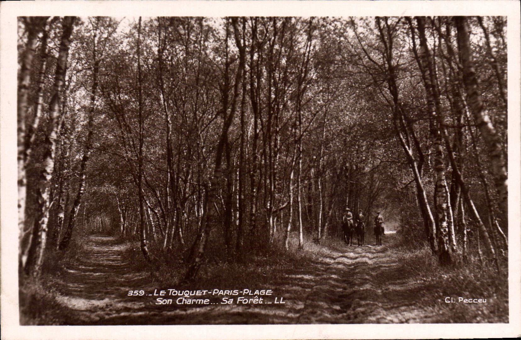 Vintage Postcard Tree Touquet Paris Beach Its charm Its drill