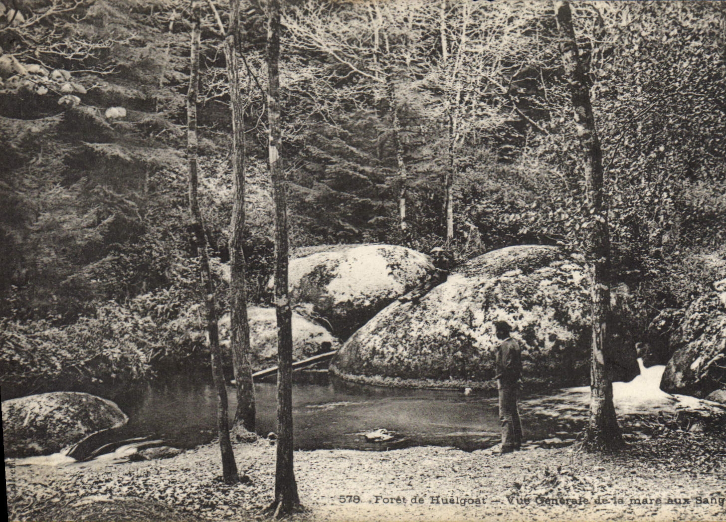 Vintage Postcard Tree Drill of Huelgoat Seen general of the pond to wild boars