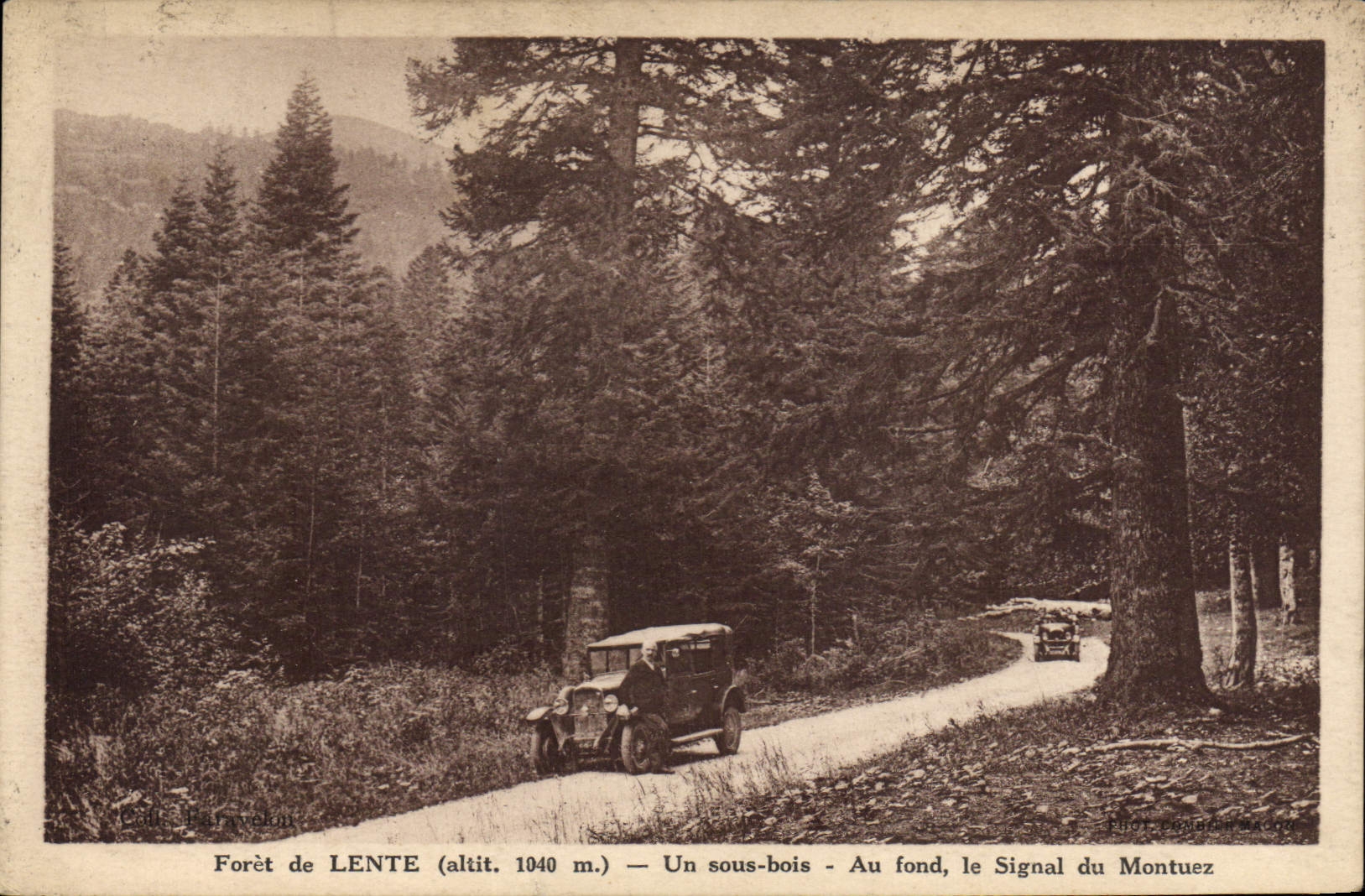 Vintage Postcard Tree Drill of Slow under wood At the bottom the signal of Montuez