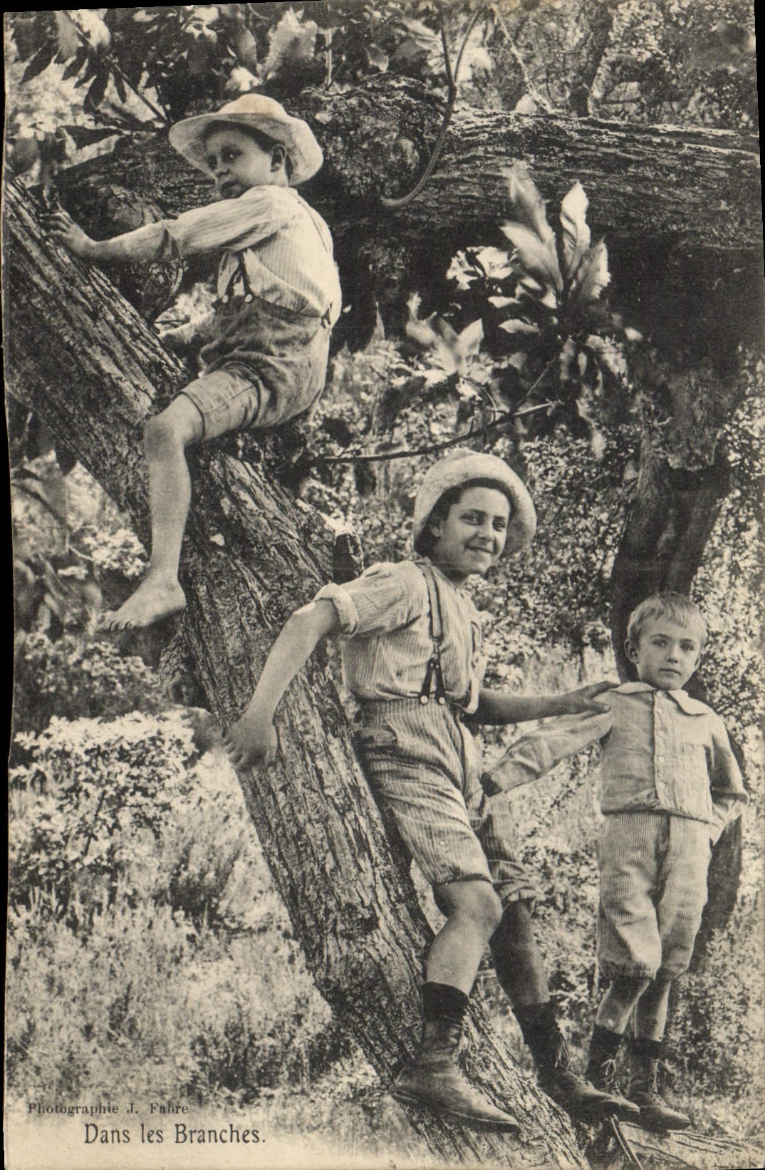 Vintage Postcard Tree In the branches Children