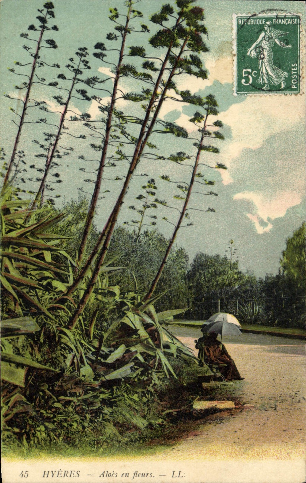 Vintage Postcard Flowers Hyeres Aloe in flowers