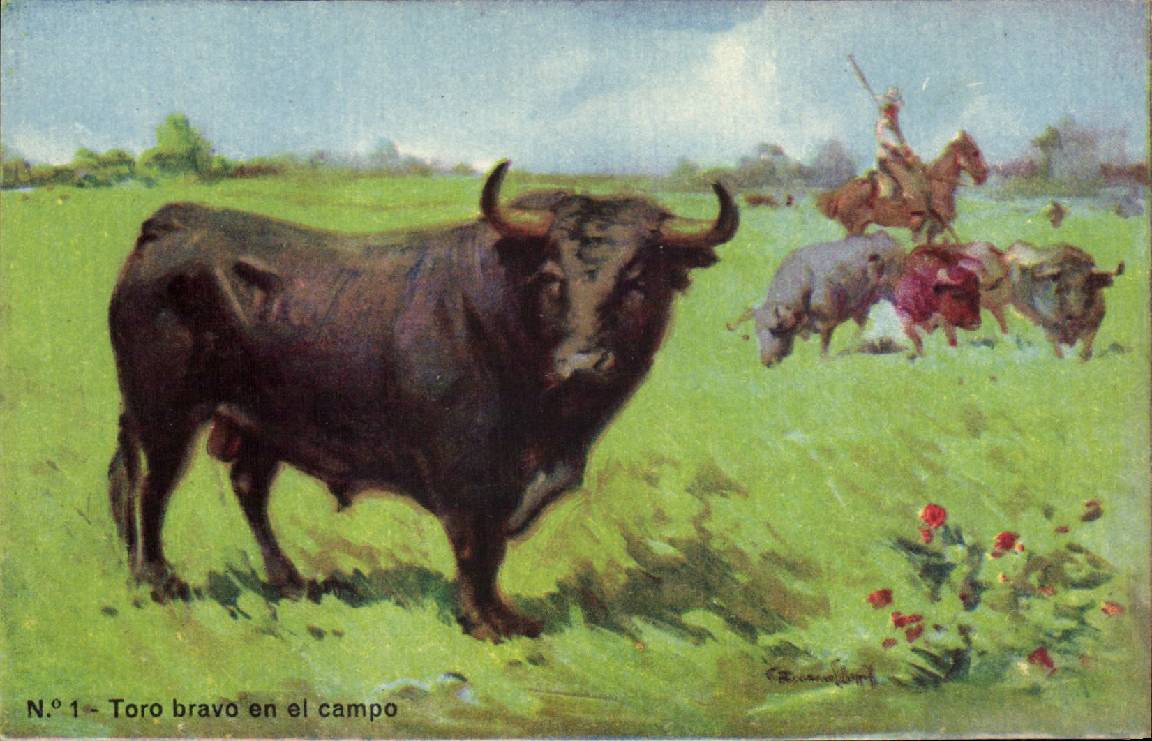 CPA Corrida Course de taureaux Toro bravo en el campo