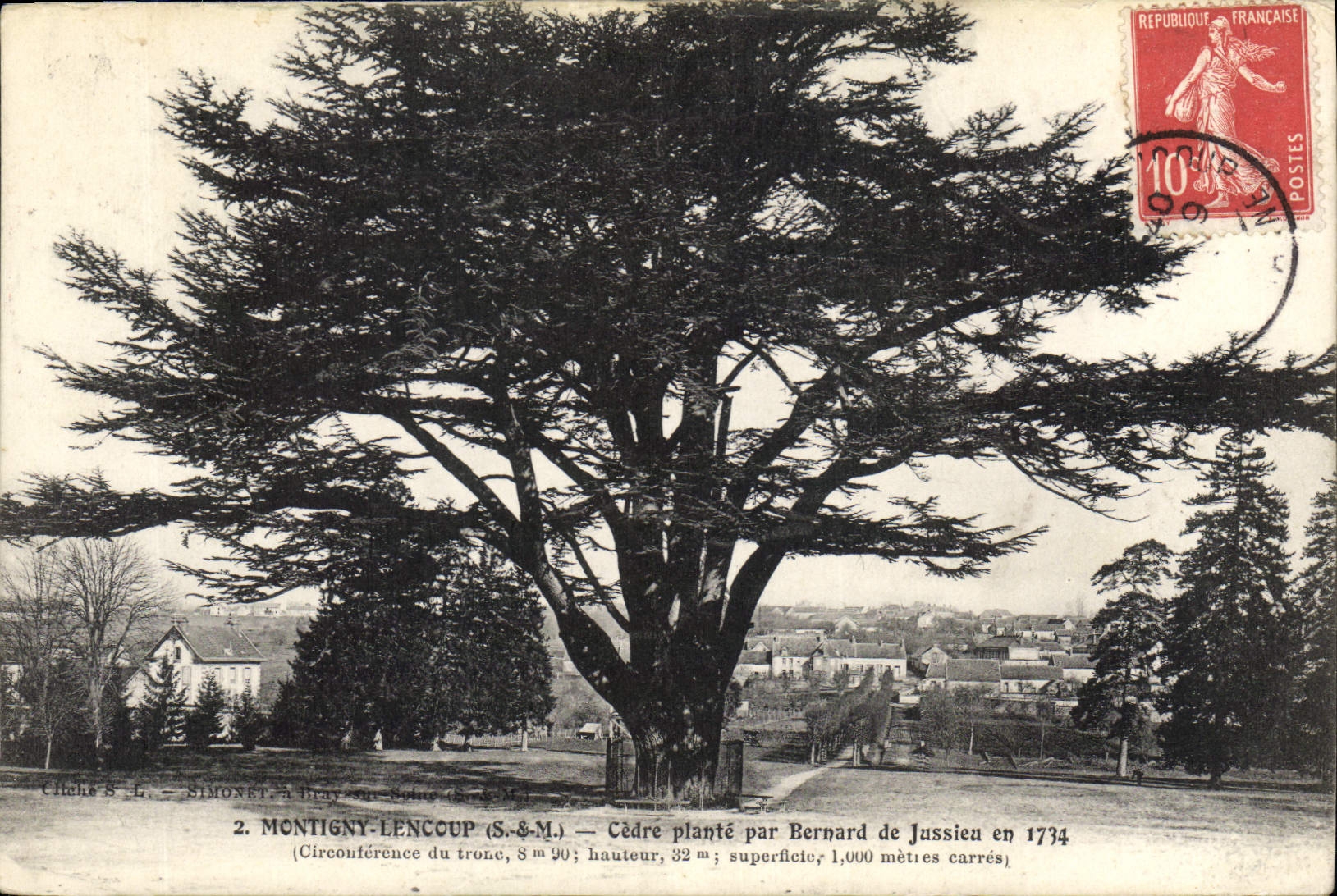 Vintage Postcard Arbre Montigny Lencoup Cedre plants by Bernard de Jussieu