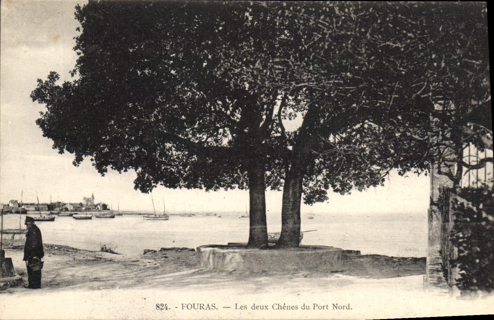 Postal Árbol Fouras los dos robles del PORT Septentrional