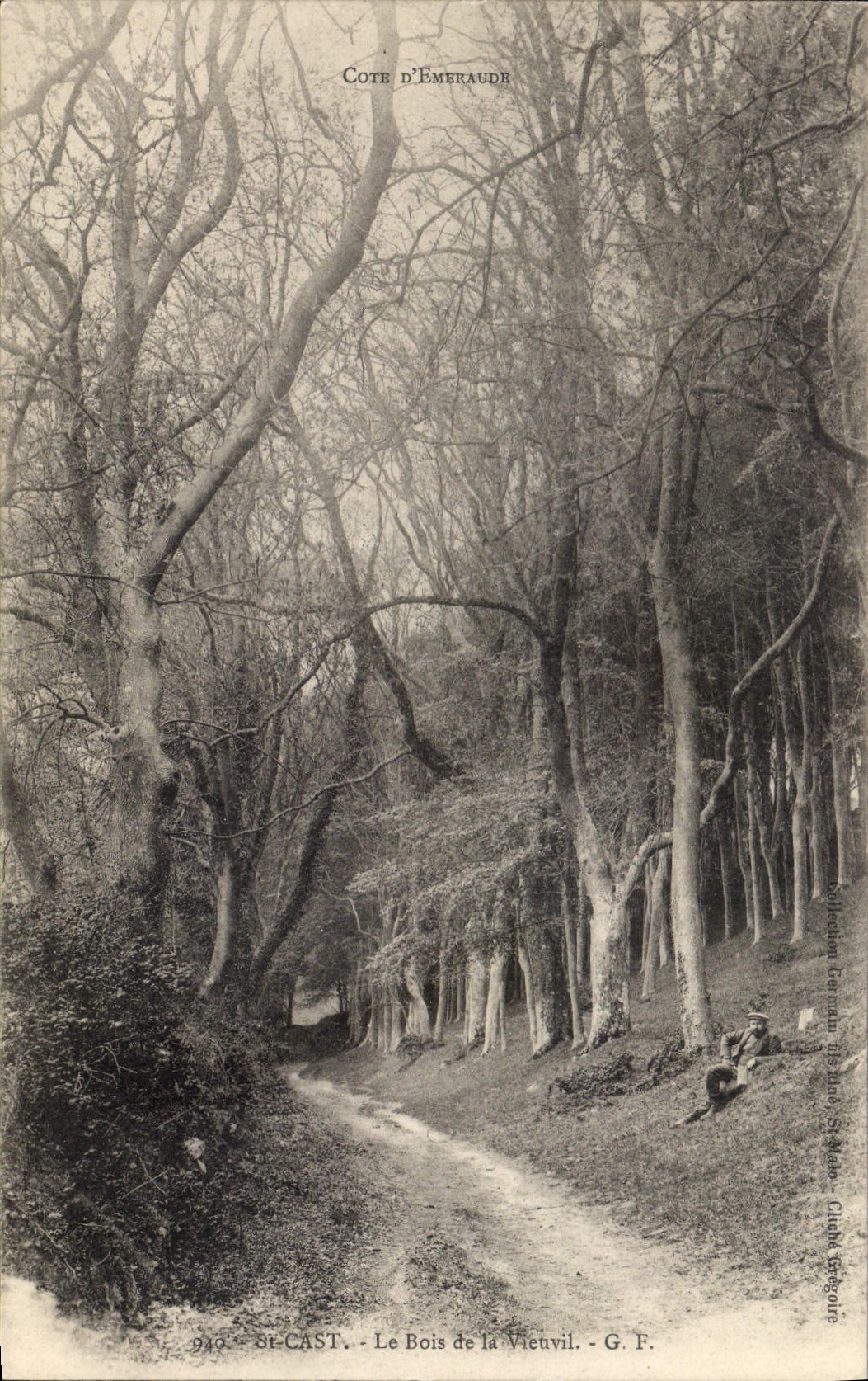 Vintage Postcard Tree St Cast the wood of Vieuvil