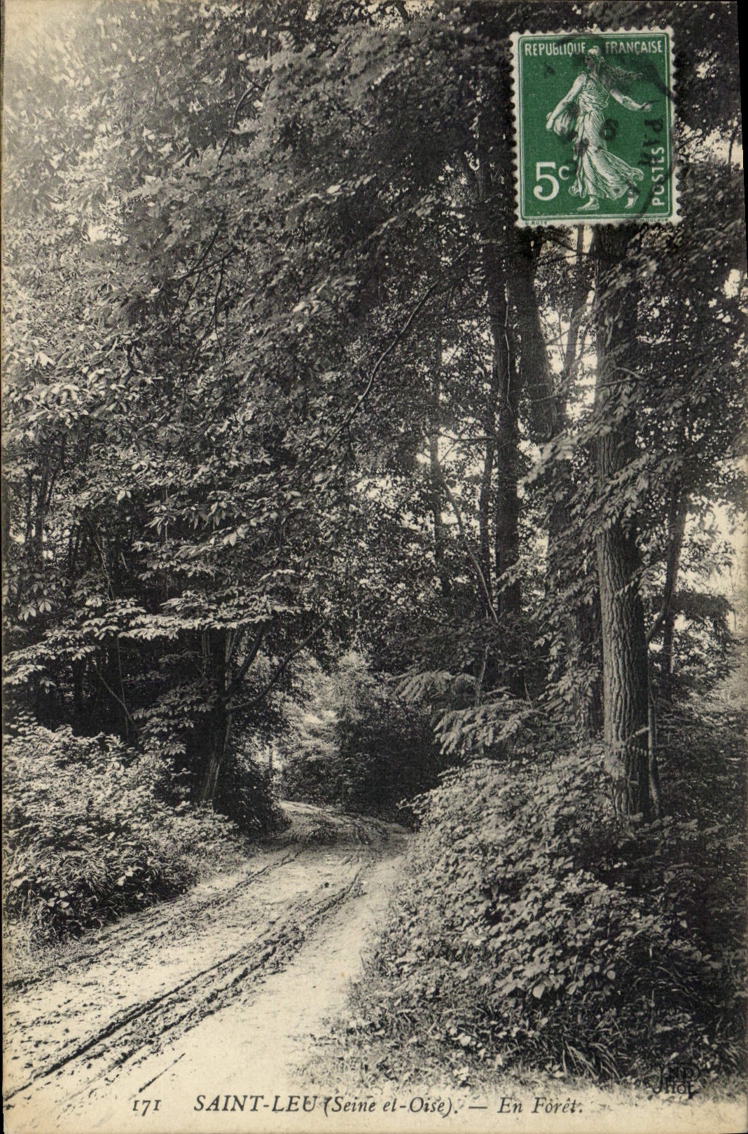 Vintage Postcard Holy Tree Leu the drill