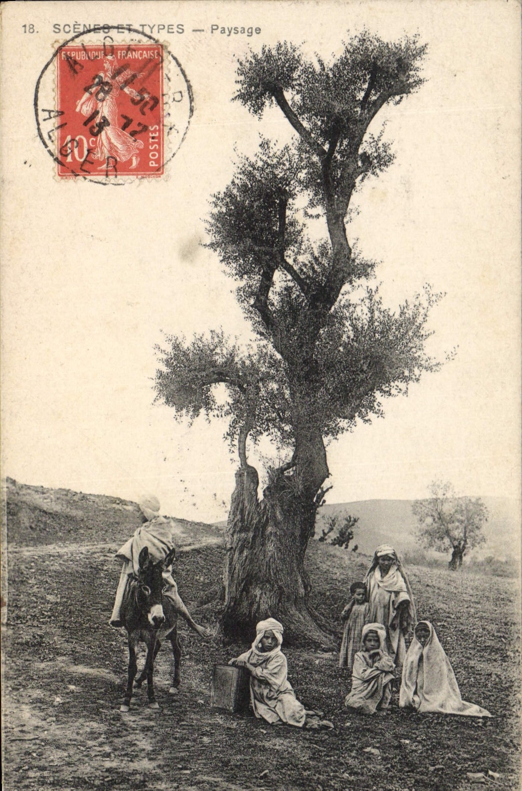 Vintage Postcard Tree Algeria Children