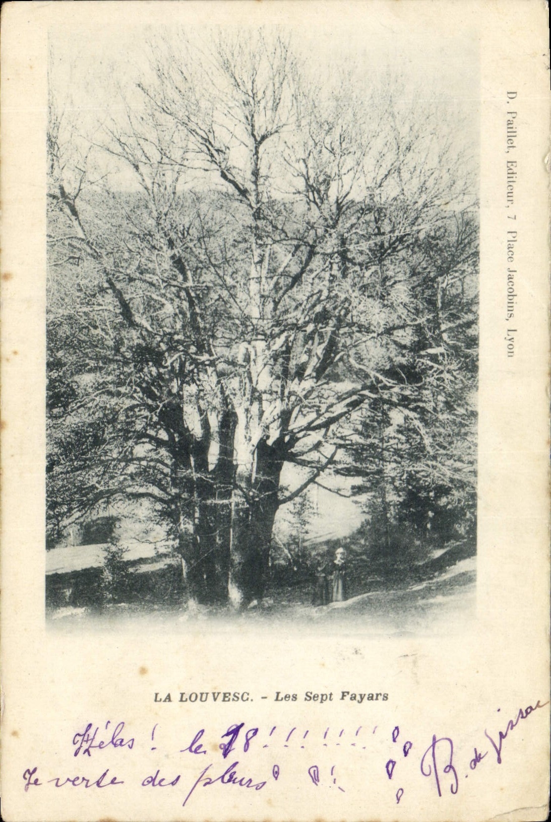 Vintage Postcard Tree Louvesc seven Fayars