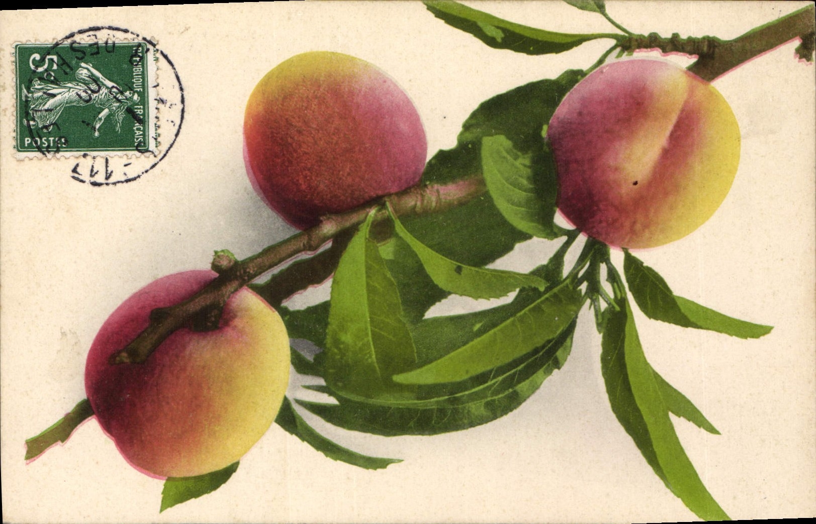 Vintage Postcard Fantaisie Flowers Fishes