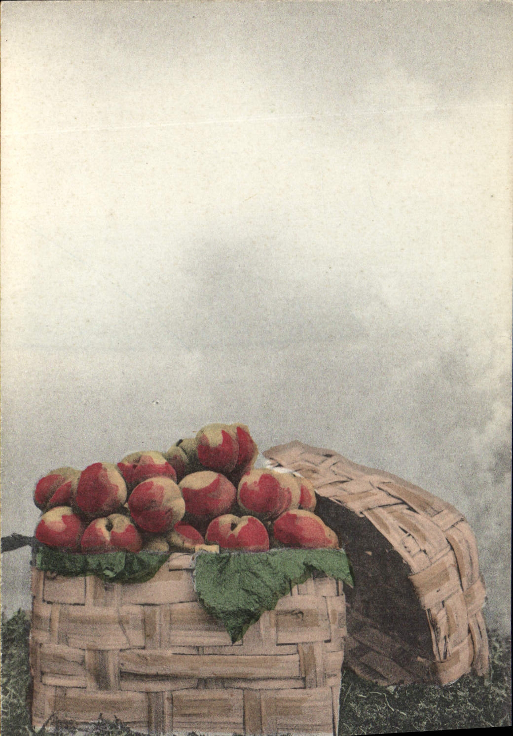 Vintage Postcard Fantasy Flowers Fishings