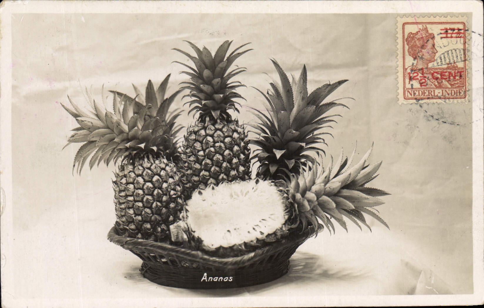 Vintage Postcard Fantasy Flowers Pineapple the Indies Dutchwomen