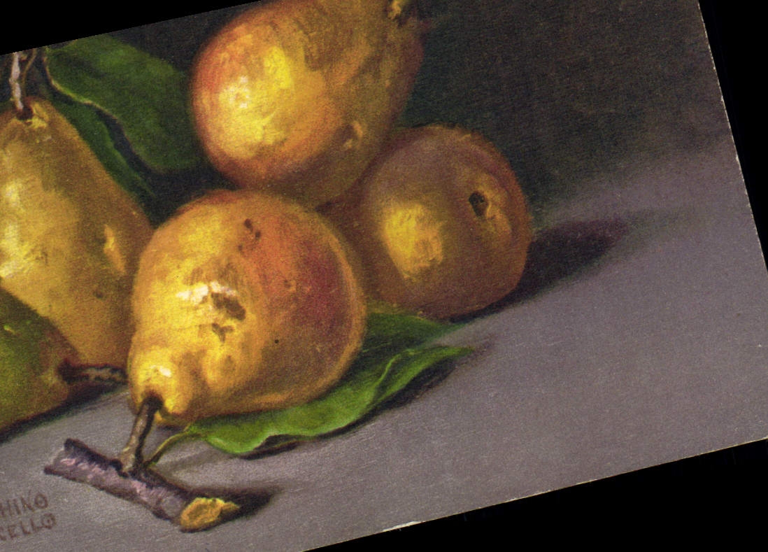 Vintage Postcard Fantasy Flowers Pears