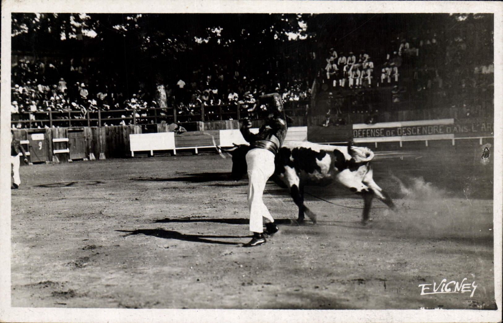 Vintage Postcard Bullfight Bullfight To the country From the Landes Races from the Landes the variation