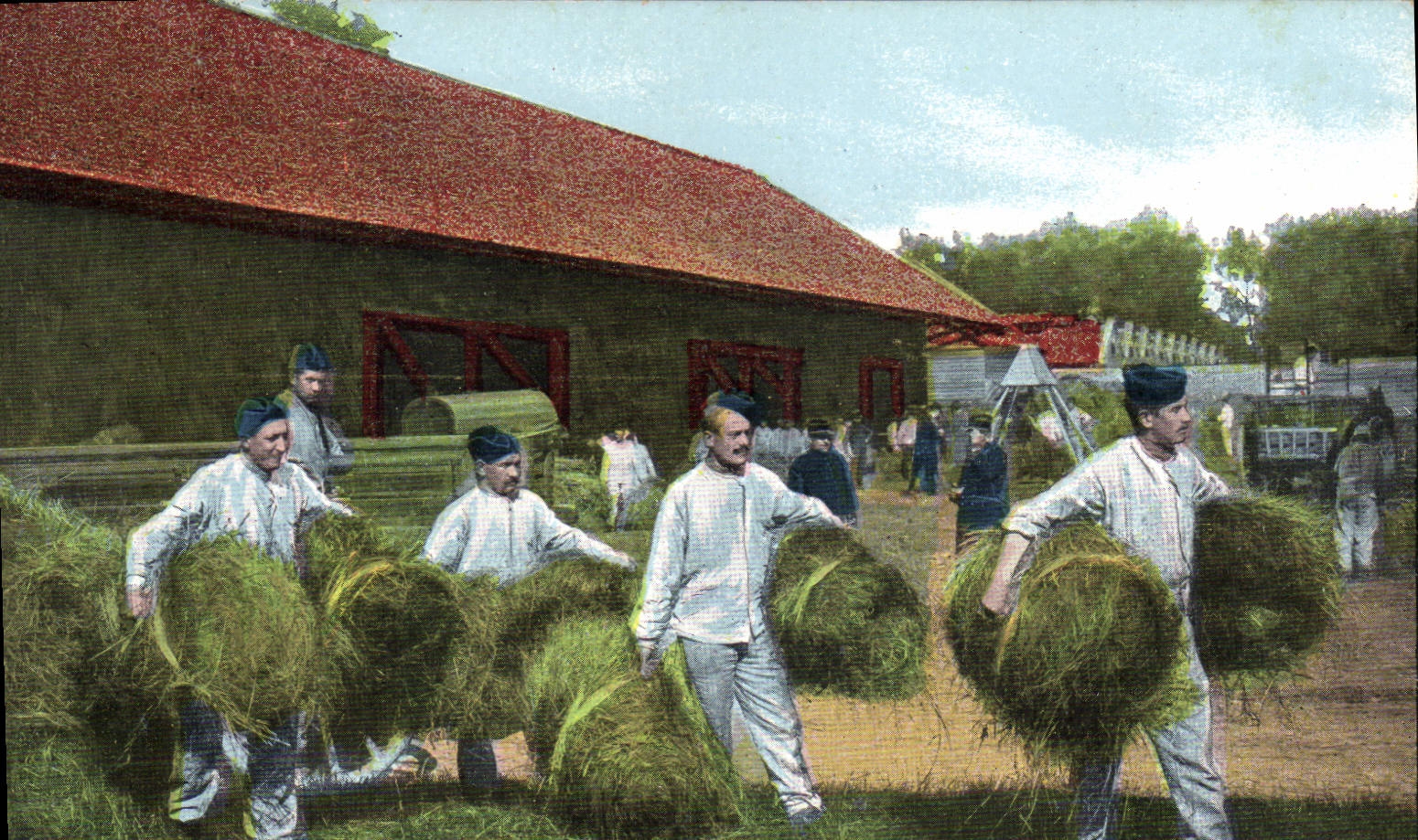 CPA Militaria Artillerie Le fourrage 