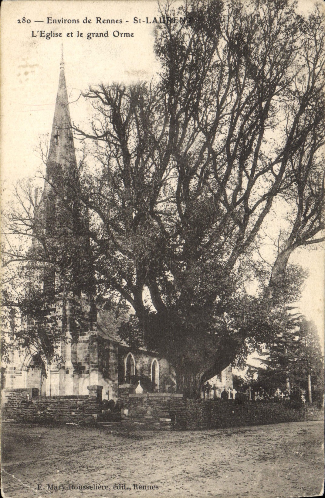 Vintage Postcard Tree Surroundings of Rennes St Laurent the church and the Large Flowering ash