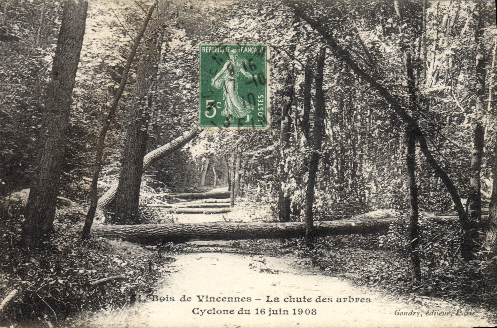 Vintage Postcard Tree Wood of Vincennes the fall of the trees Cyclone of June 16th, 1908