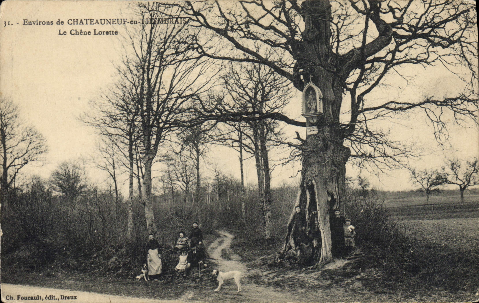 Vintage Postcard Tree Surroundings of Chateauneuf in Thymerais the Lorette oak