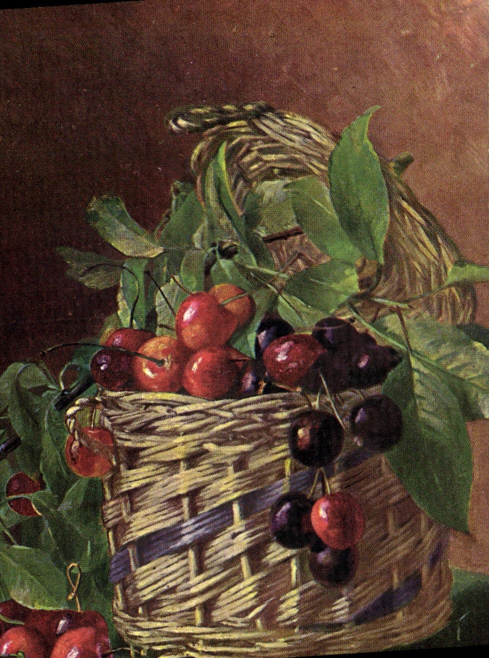 Vintage Postcard Still life Fantasy Cherries