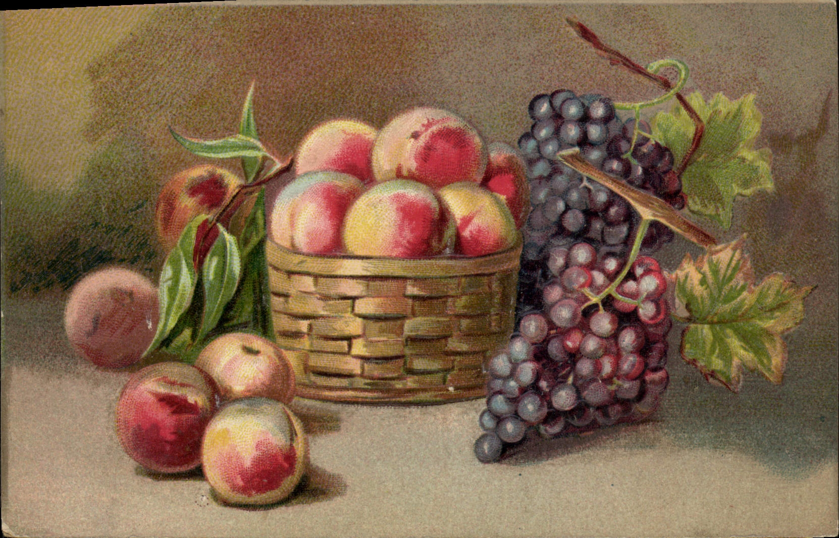 Vintage Postcard Still life Fantasy Grapes (in relief)
