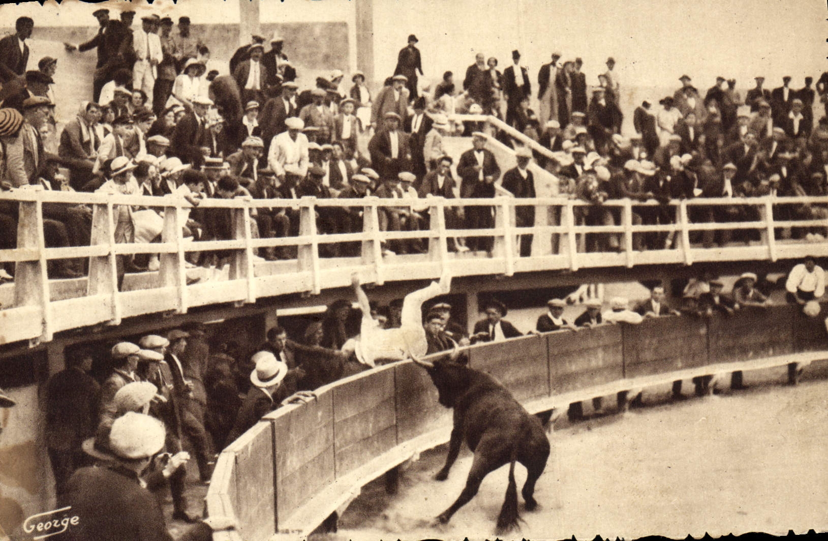 CPM Corrida Course de taureaux L'Orphelin de Granon projette Biscarel au dela des barrieres