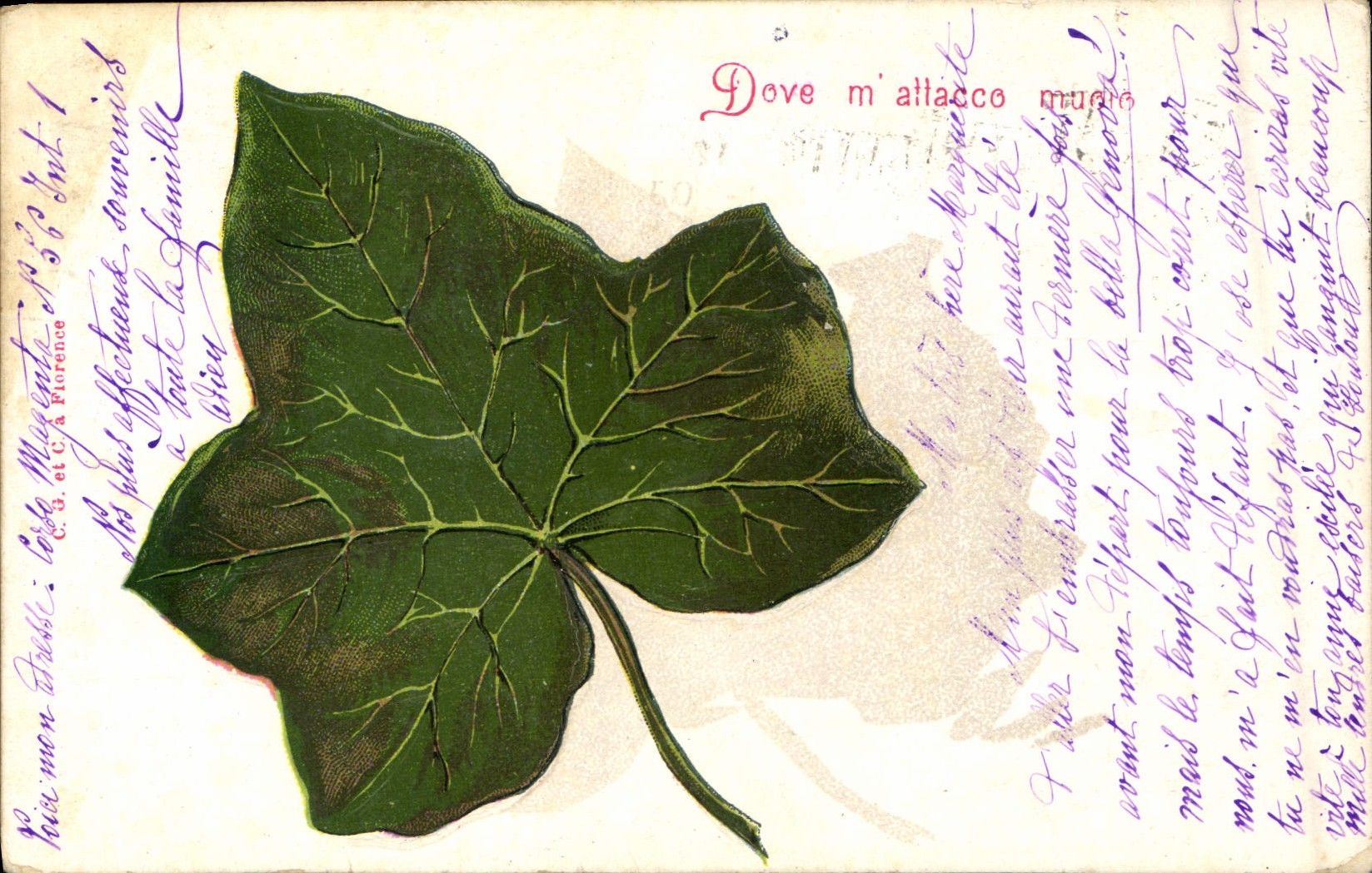 Vintage Postcard Fantasy Flowers Vine (in relief)
