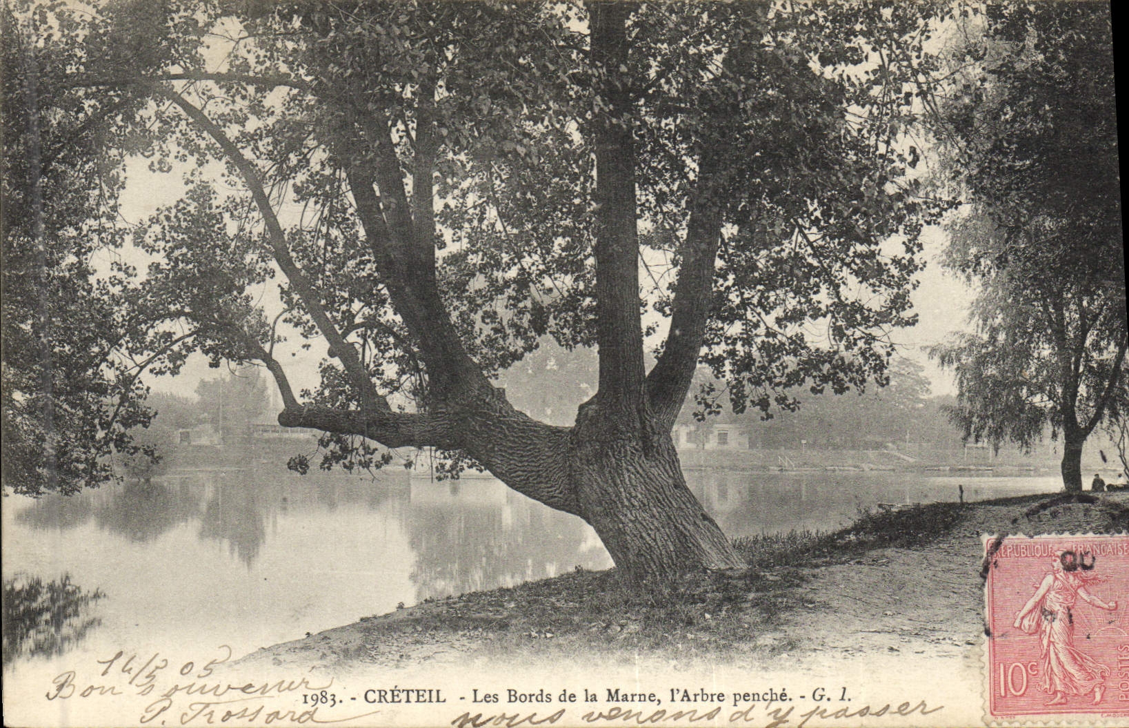 Postal Árbol Creteil las orillas de la Marga el árbol inclina