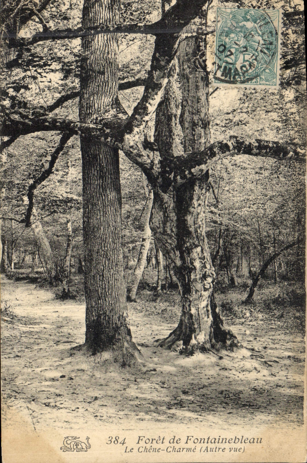 Postal Árbol Taladro de Fontainebleau el roble encanta Otra vista