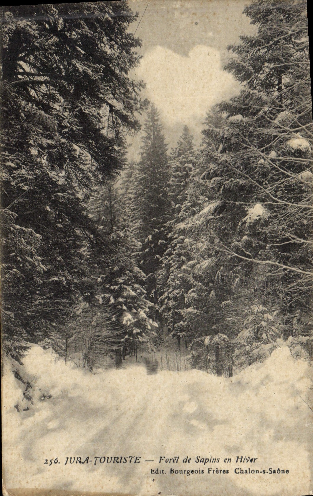 Postal Árbol el Jura Taladro de abetos en invierno