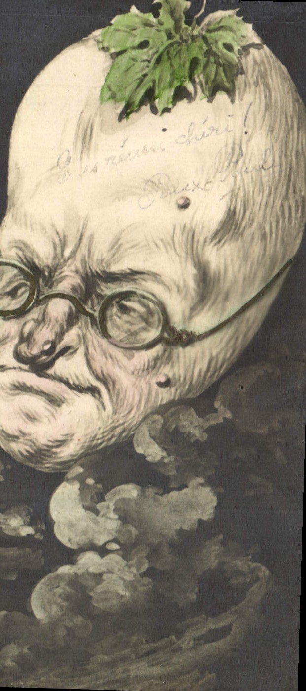 Postal Fantasia Diarios Diario la Luna periodista Redactor a los Ecos mundanos