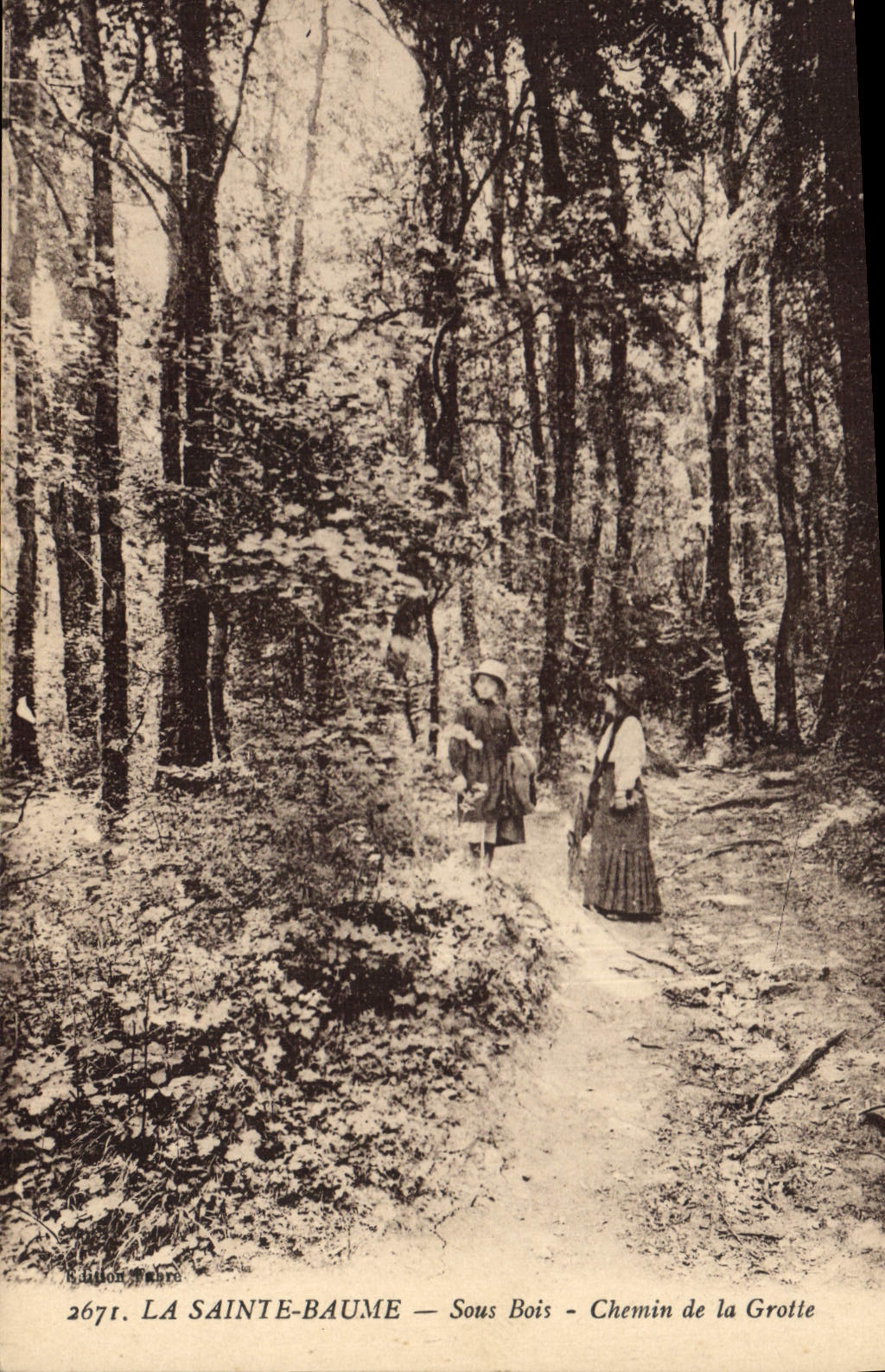 Postal Árbol la Santa Bálsamo bajo madera Camino de la gruta