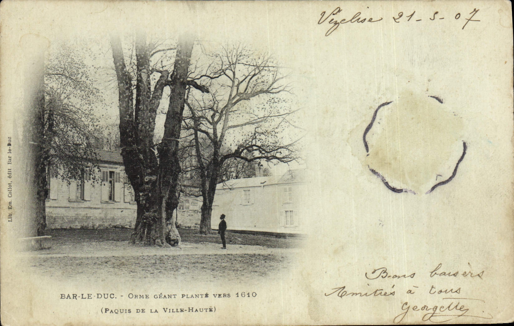 Postal Árbol Bar el Duque Olmo gigante establece hacia 1610 Pasto de la alta Ciudad