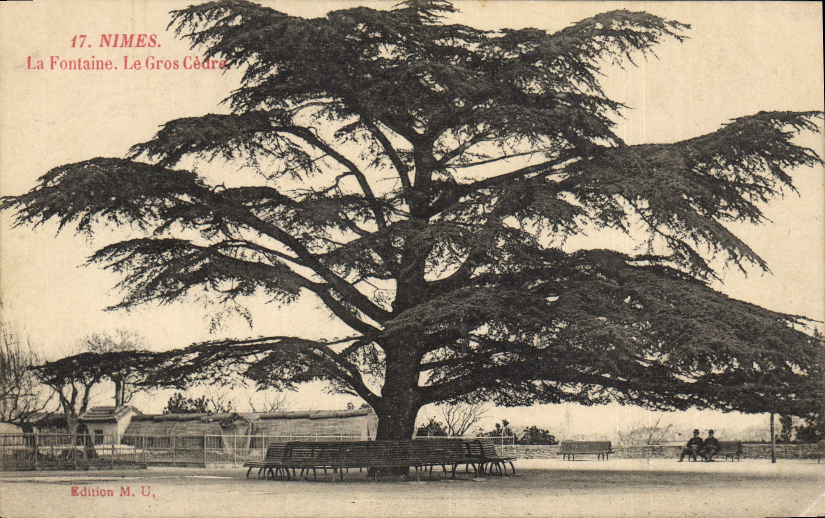 Postal Árbol Nimes el grande cedre la fuente