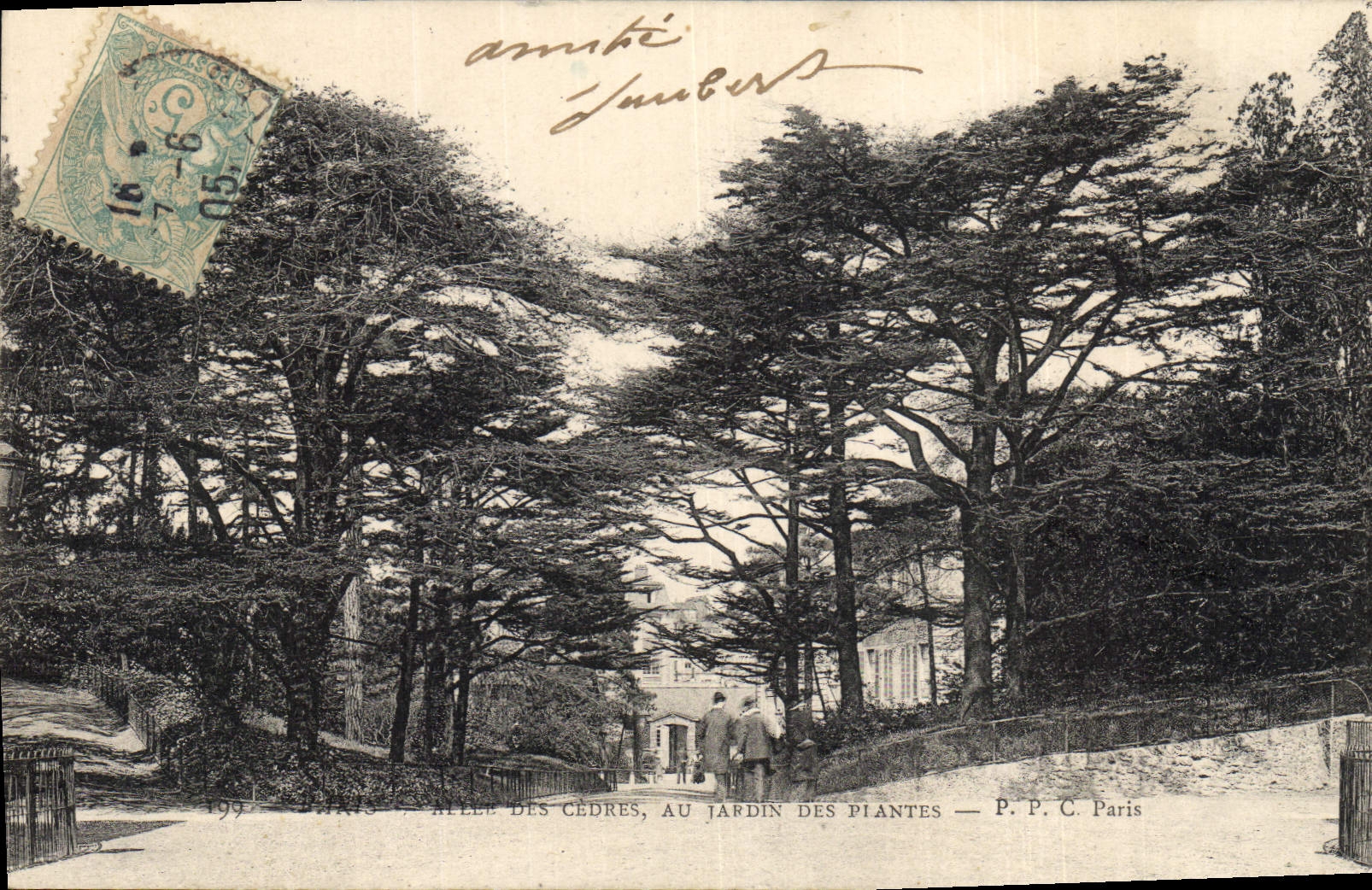 Postal Árbol París Ida de los cedros al jardín de las Plantas