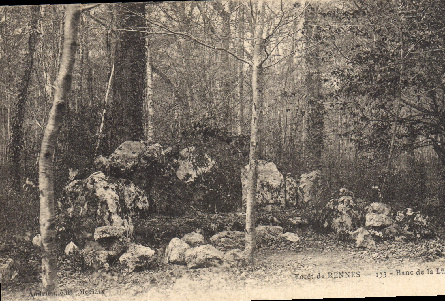 Postal Árbol Taladro de Rennes Banco de la luna